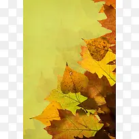秋天树叶背景边框-空若网 秋天树叶背景边框-空若网