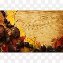 ľ������Ҷ����-������