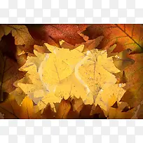 秋季树叶背景底纹-空若网 秋季树叶背景底纹-空若网