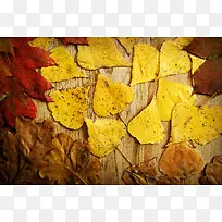 木板上的树叶背景-空若网 木板上的树叶背景-空若网