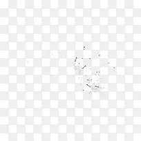 �����ī����ҵͼƬ-������