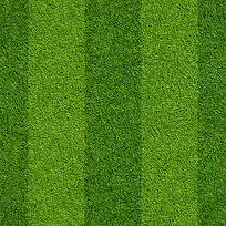 ��ɫ�ݵر���-������