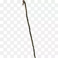 枝条、树枝、植物茎-枝-空若网 枝条、树枝、植物茎-枝-空若网