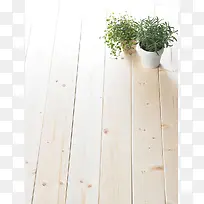 白色地板上绿色植物海报背景-空若网 白色地板上绿色植物海报背景-空若网