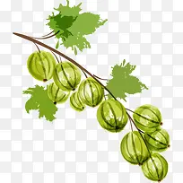 ���ˮ��PNGʸ���ز�-������