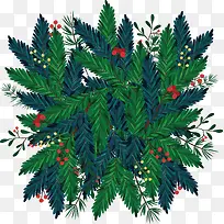 ����ɫʥ������֦-������