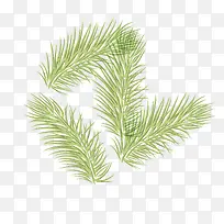 手绘松树树枝矢量素材-空若网 手绘松树树枝矢量素材-空若网