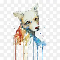 灵魂的颜色-空若网 灵魂的颜色-空若网