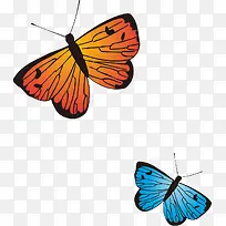 两只美丽的蝴蝶-空若网 两只美丽的蝴蝶-空若网