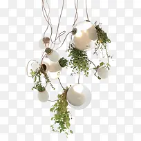 创意高清摄影质感灯具植物-空若网 创意高清摄影质感灯具植物-空若网
