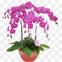 ��������-������