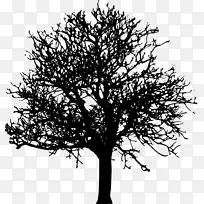 树桌面壁纸剪贴画-树透明-空若网 树桌面壁纸剪贴画-树透明-空若网