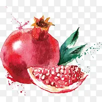 水彩石榴图片-空若网 水彩石榴图片-空若网
