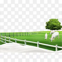 羊圈-空若网 羊圈-空若网