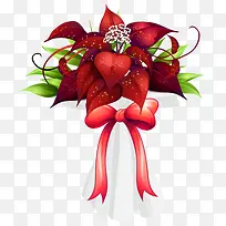 ��ɫʥ��������-������