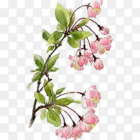 ����ӣ��ˮī��-������