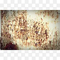 ����Ľ�������-������