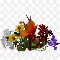 切花花型-空若网 切花花型-空若网