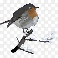 冬天的小鸟-空若网 冬天的小鸟-空若网