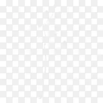 枝叶png图片-空若网 枝叶png图片-空若网