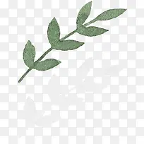 水彩树叶插画素材-空若网 水彩树叶插画素材-空若网