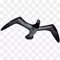 ӥӥ-������