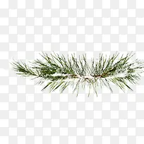 ����-������