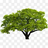 ����������԰����-������