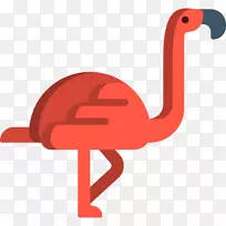 安卓电脑图标gimp-flamingo-空若网 安卓电脑图标gimp-flamingo-空若网