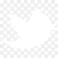 约翰霍普金斯大学电子邮件服务业务信息-黑白-空若网 约翰霍普金斯大学电子邮件服务业务信息-黑白-空若网