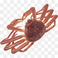 �������з�ز�-������