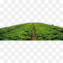 �߲����Ҵ����԰-������