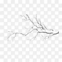 冬季铺满雪的树枝丫-空若网 冬季铺满雪的树枝丫-空若网