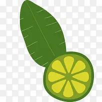 夏季水果绿色金桔-空若网 夏季水果绿色金桔-空若网