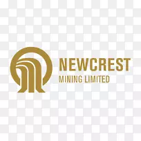 澳大利亚利希尔岛纽克莱斯特金矿开采-空若网 澳大利亚利希尔岛纽克莱斯特金矿开采-空若网