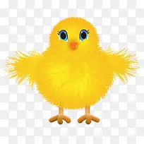 黄色小翅膀小鸡-空若网 黄色小翅膀小鸡-空若网