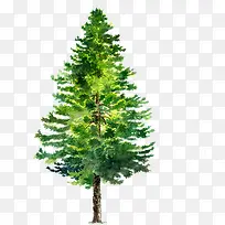 �ֻ���ɫ��ľʳƷչ��-������