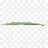 卡通手绘蔬菜装饰海报设计青椒-空若网 卡通手绘蔬菜装饰海报设计青椒-空若网