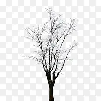 �������-������