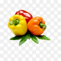 彩色甜椒-空若网 彩色甜椒-空若网