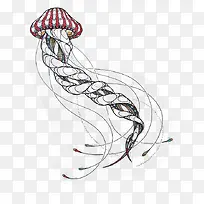 �ֻ�ī��-������