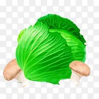 ºÃ³ÔµÄ°ü²ËËØ²Ä-¿ÕÈôÍø ºÃ³ÔµÄ°ü²ËËØ²Ä-¿ÕÈôÍø