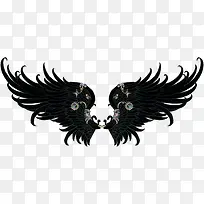 翅膀-空若网 翅膀-空若网