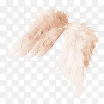 ����ز�-������