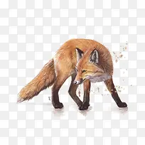 矢量狐狸-空若网 矢量狐狸-空若网