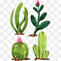 ʸ���ֻ�ˮ��������-������