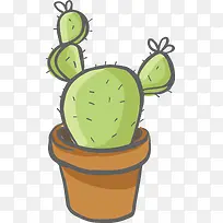 仙人草扁平-空若网 仙人草扁平-空若网