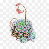 �ֻ��ʶ���ֲ���ز����-������