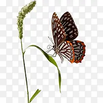 ��������-������