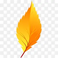 橙色叶子免扣图片-空若网 橙色叶子免扣图片-空若网